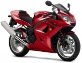 2004 Triumph Daytona 600 photo
